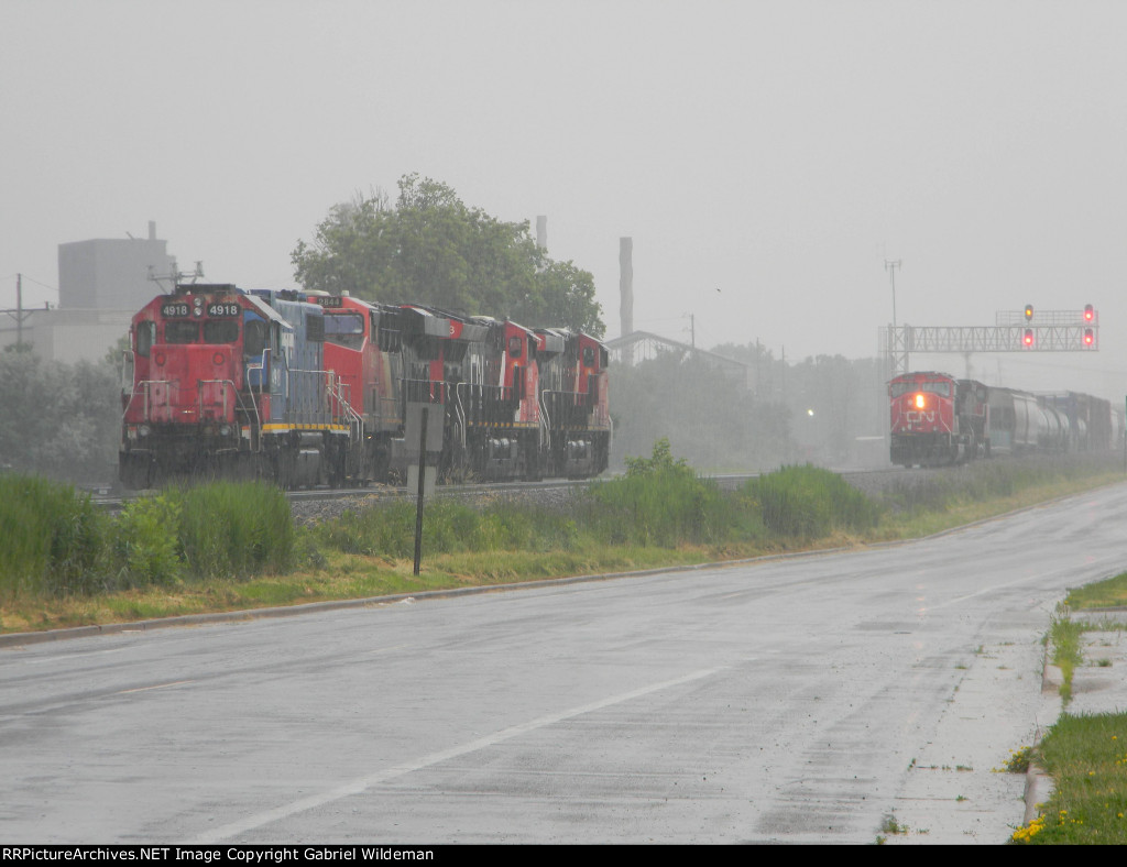 A Meet in a Downpour 